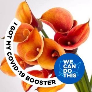 Meet your Posher, Delores